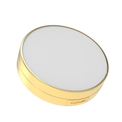 LED Light Magnifying Makeup Mirror